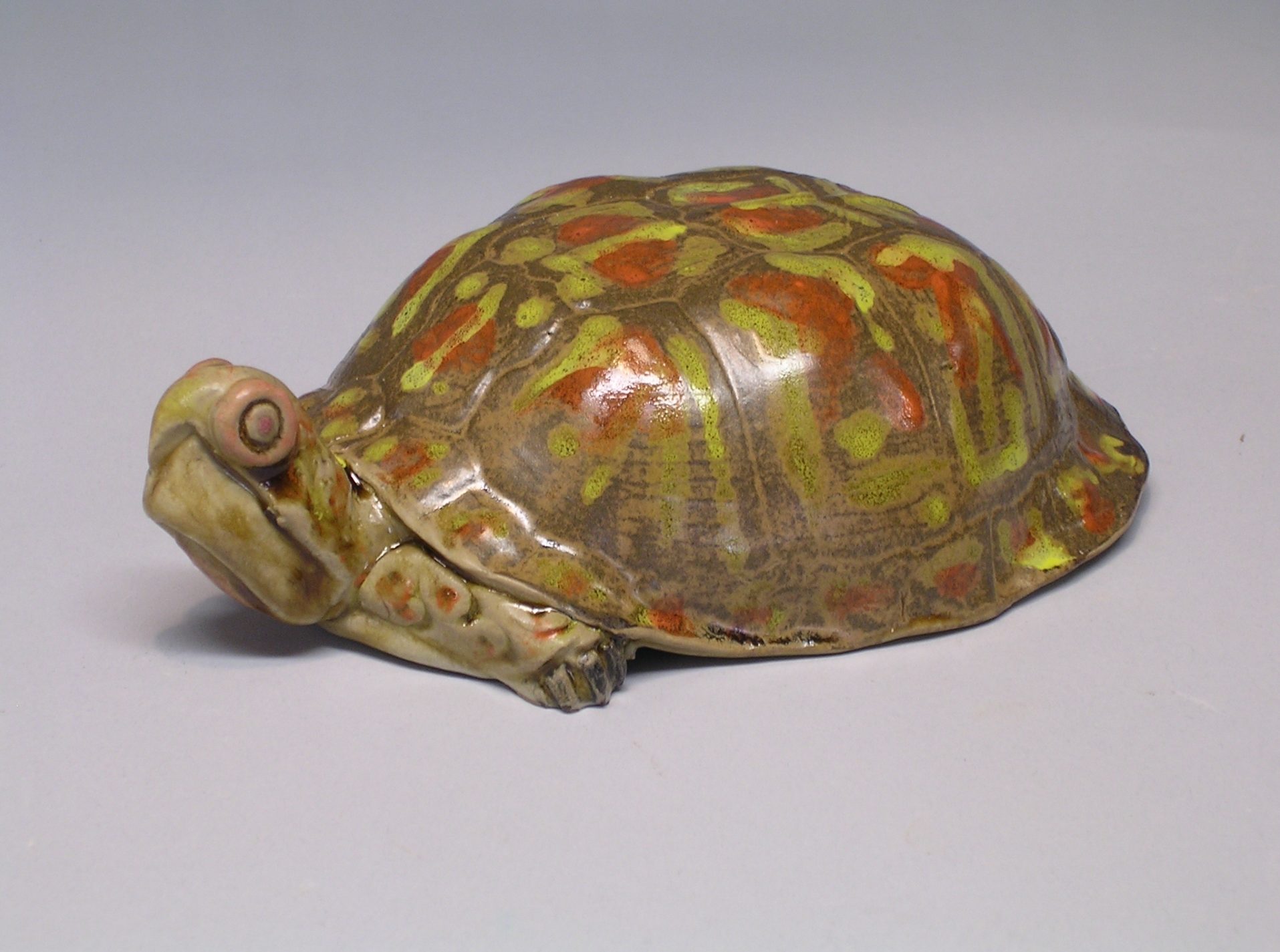 toshay turtle
